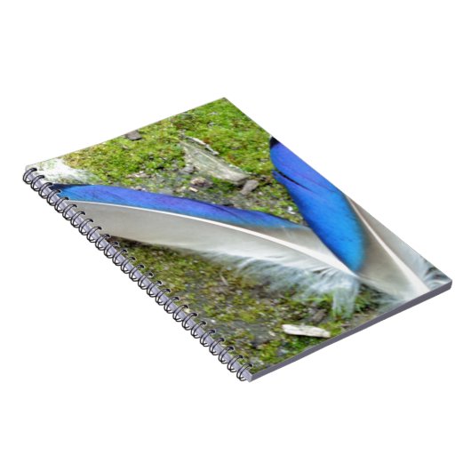 Blaue Duckfedern, Tier, Vogel Notizblock (Rechte Seite)