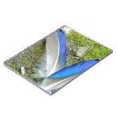 Blaue Duckfedern, Tier, Vogel Notizblock (Linke Seite)