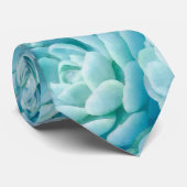 Blaue Echeveria-Sukkuline Krawatte (Gerollt)