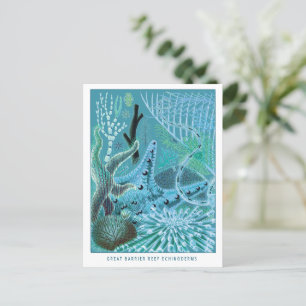 Blaue Echinodermen des Great Barrier Reef Vintag Postkarte