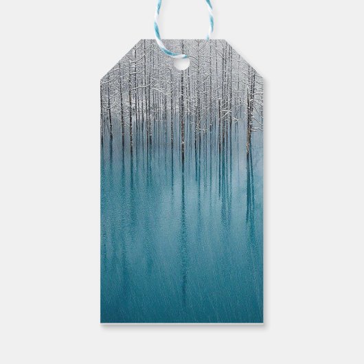 Blaue Eisbäume Geschenkanhänger (Rückseite)