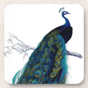 Blaue elegante bunte Pfau Vintage Untersetzer