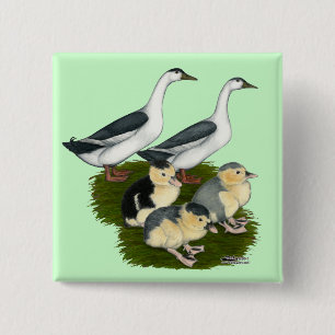 Blaue Elster-Entenfamilie Button