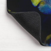 Blaue Engelfische, Fische, Unterwasser Mousepad (Ecke)
