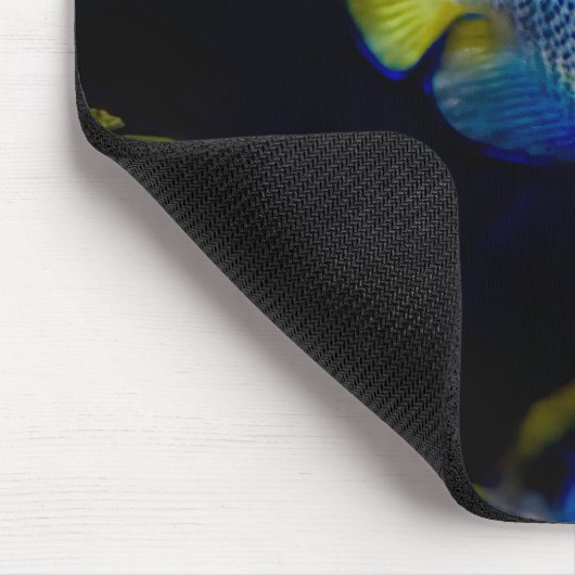 Blaue Engelfische, Fische, Unterwasser Mousepad (Ecke)