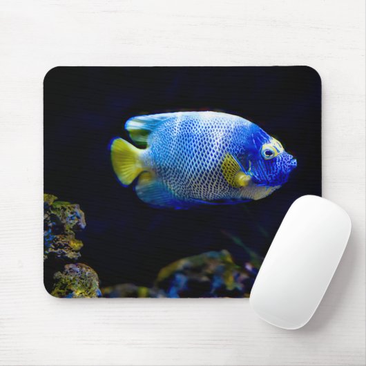 Blaue Engelfische, Fische, Unterwasser Mousepad (Mit Mouse)