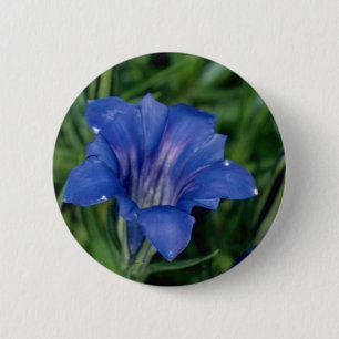 Blaue Enzian-Blumen Button
