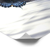 Blaue Erde Schmetterlinge Poster (Ecke)