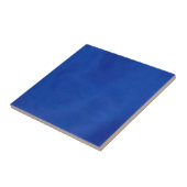 Blaue Eurofliese Fliese (Seite)