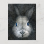 BLAUE EYES POSTKARTE (Vorderseite)