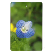 blaue Feder - Klemmbrett (Rückseite)
