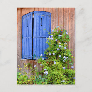 Blaue Fensterläden und Blume Postkarte