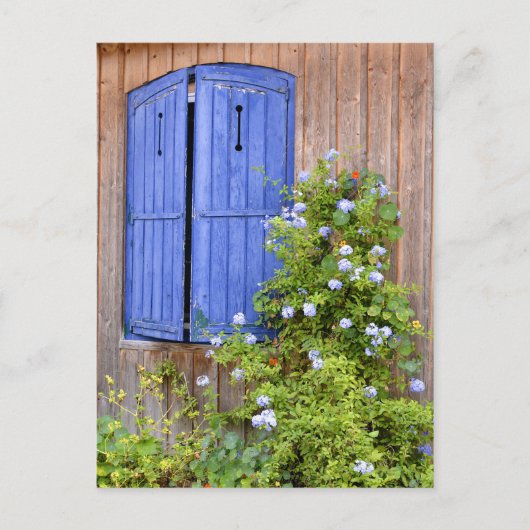 Blaue Fensterläden und Blume Postkarte (Vorderseite)