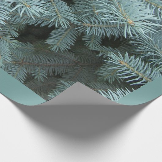 Blaue Fichte rustikale Natur grau grün Geschenkpapier (Ecke)