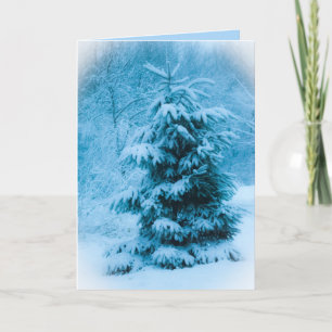 Blaue Fichten-Weihnachtsabend-Foto  Feiertagskarte