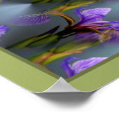 Blaue Flagge Iris Blume Abstrakte Natur Poster (Ecke)