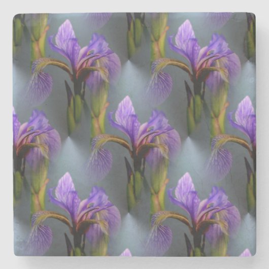 Blaue Flagge Iris Blume Art Muster Steinuntersetzer (Vorderseite)