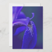 Blaue Flagge Iris Blume Petal Elegantes Party Einladung (Rückseite)