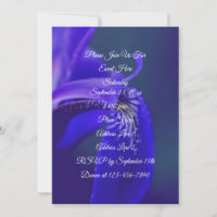 Blaue Flagge Iris Blume Petal Elegantes Party