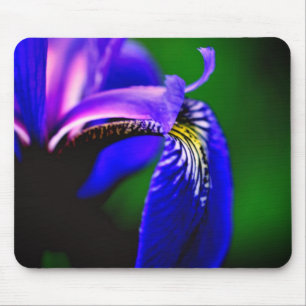 Blaue Flagge Iris Blume Petal Mousepad