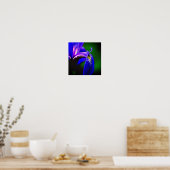 Blaue Flagge Iris Blume Petal Nah Poster (Küche)