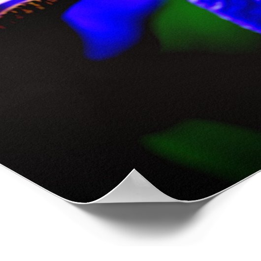 Blaue Flagge Iris Blume Petal Nah Poster (Ecke)