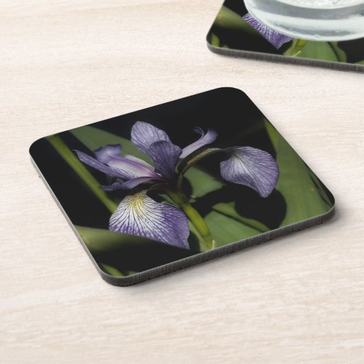 Blaue Flagge Iris-Blume Untersetzer (Linke Seite)