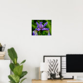 Blaue Flagge Iris Raindrops Floral Poster (Heimbüro)