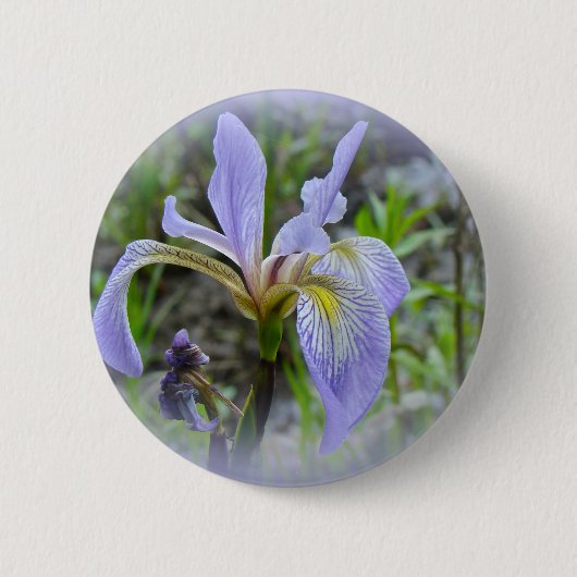Blaue Flagge - Wild Iris Button (Vorderseite)