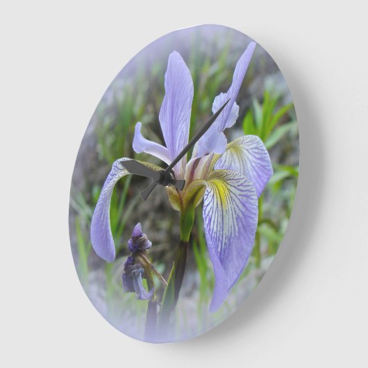 Blaue Flagge - Wild Iris Große Wanduhr (Winkel)