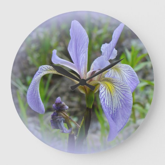 Blaue Flagge - Wild Iris Große Wanduhr (Vorderseite)