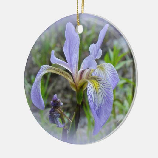 Blaue Flagge - Wild Iris Keramikornament (Links)