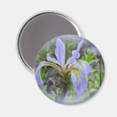 Blaue Flagge - Wild Iris Magnet (Vorderseite/Rückseite)