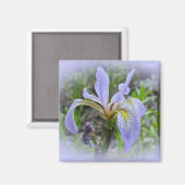 Blaue Flagge - Wild Iris Magnet (Vorderseite/Rückseite)