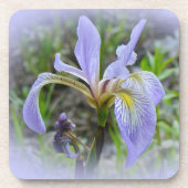 Blaue Flagge - Wild Iris Untersetzer (Vorderseite)