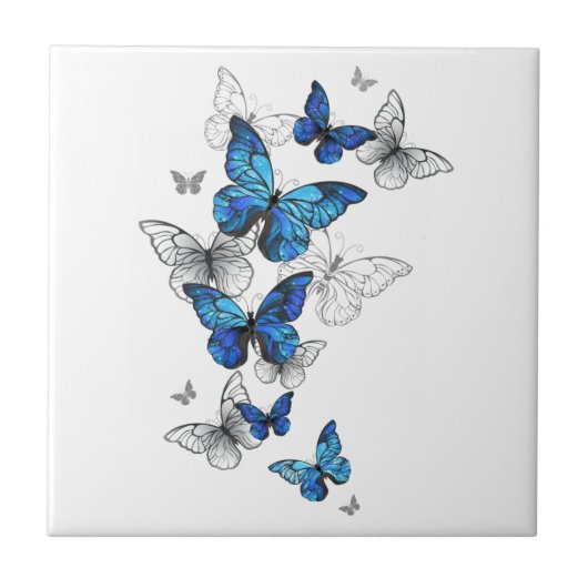 Blaue fliegende Schmetterlinge Morpho Fliese (Vorderseite)