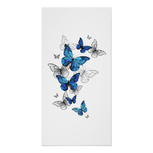 Blaue fliegende Schmetterlinge Morpho Poster (Vorderseite)