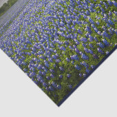 Blaue Frühlingbluebonnet-Feld-Texas-Staats-Blume Seidenpapier (Ausschnitt)