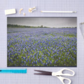 Blaue Frühlingbluebonnet-Feld-Texas-Staats-Blume Seidenpapier (Handwerk)