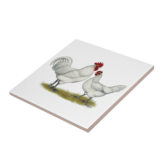 Blaue Fuß-Hühner Fliese (Seite)