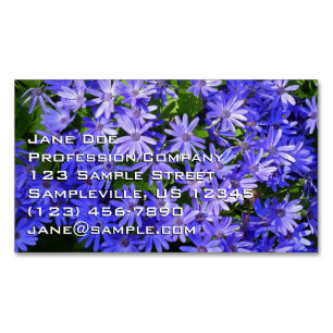 Blaue Gänseblümchen-ähnliche Blumen Naturfotografi Magnetische Visitenkarte