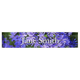 Blaue Gänseblümchen-ähnliche Blumen Naturfotografi Namensplakette
