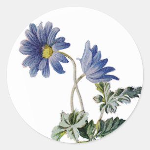 Blaue Gänseblümchen Blumen Aquarell Hochzeit Runder Aufkleber