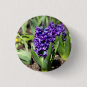 Blaue Geocinthe im Frühling   Button (Vorderseite)