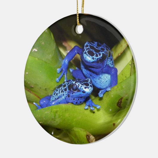 Blaue Gift-Pfeil-Frösche in Blatt 1 Keramikornament (Links)