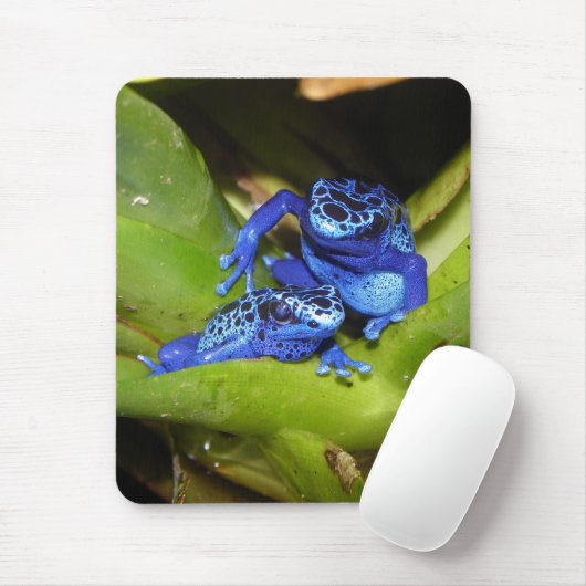 Blaue Gift-Pfeil-Frösche in Blatt 1 Mousepad (Mit Mouse)