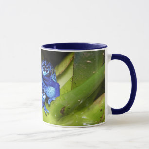Blaue Gift-Pfeil-Frösche in Blatt 1 Tasse