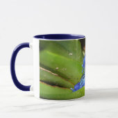 Blaue Gift-Pfeil-Frösche in Blatt 1 Tasse (Links)