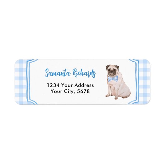 Blaue Gingham-Hund-Junge-Adresse (Vorne)