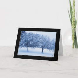 Blaue Glas-und Winter-Äpfel Karte